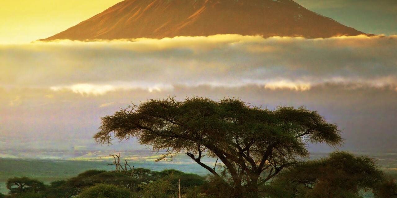 travel-tips-articles-kilimanjaro-klm-japan