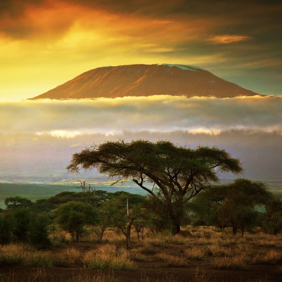 Klm Guide De Voyage Le Toit De L Afrique