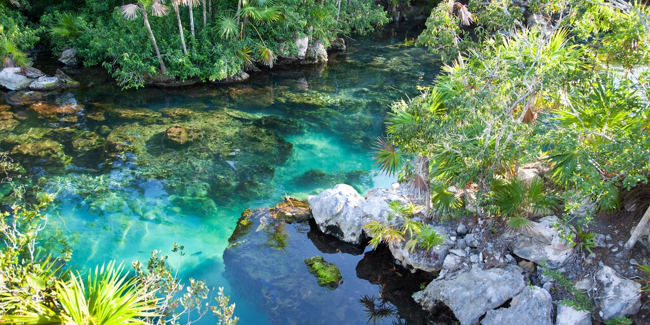 Snorkelling at Xel-ha