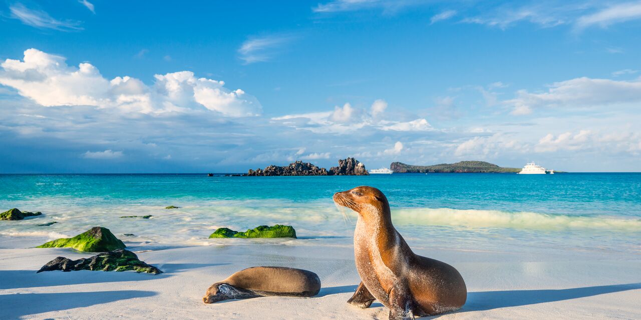 Les splendides îles Galápagos