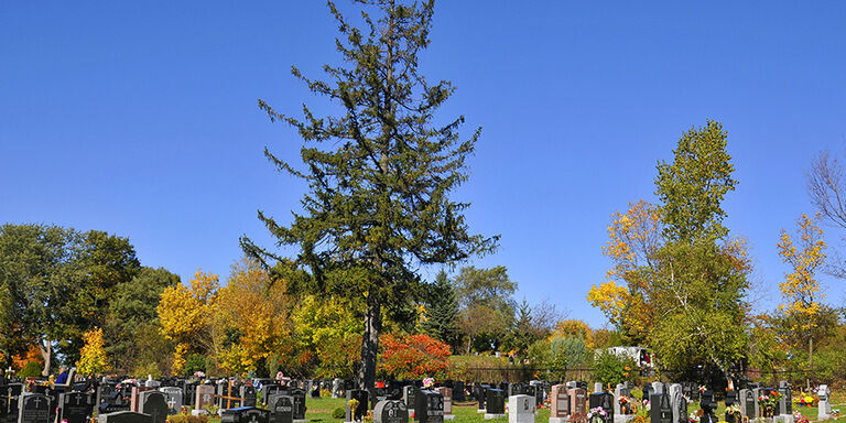 Cimetière Notre-Dame-des-Neiges