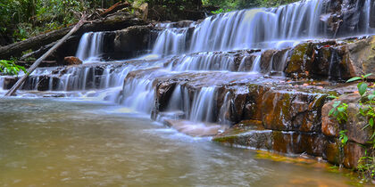 A natural swimming pool