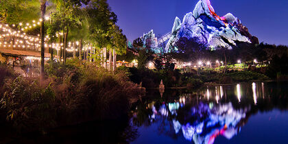 Disney’s Animal Kingdom