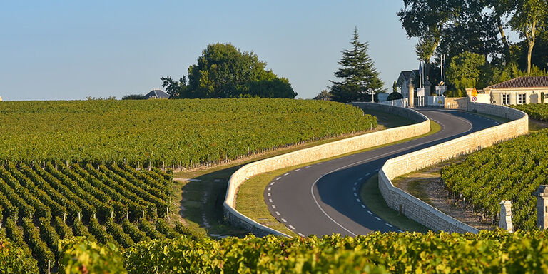 The Médoc, flowing towards the ocean