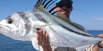 Roosterfish caught in the Pacific Ocean