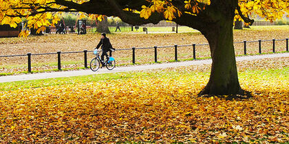 Door Hyde Park op de fiets