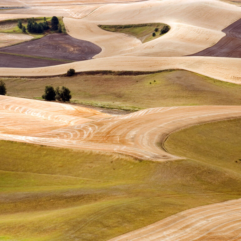 Walla co. Gold Ridge. Font Walla Water.