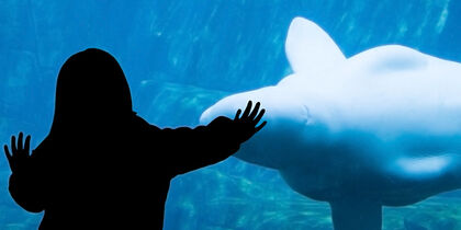 L'aquarium de Vancouver