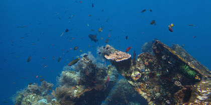 Wreck diving in Tulamben