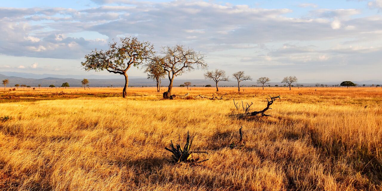 Parque nacional de Mikumi