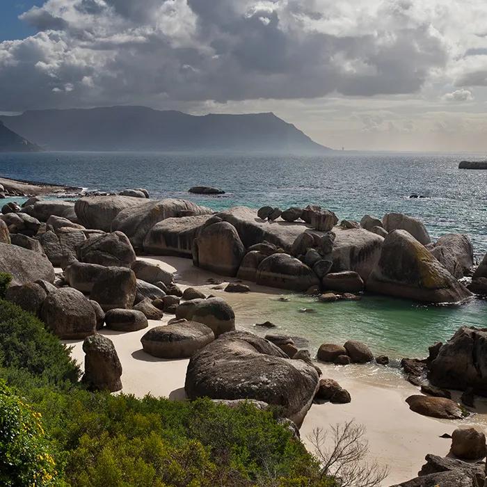 Whale spotting in False Bay