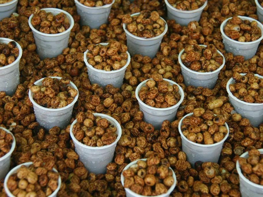Chufas, or earth almonds