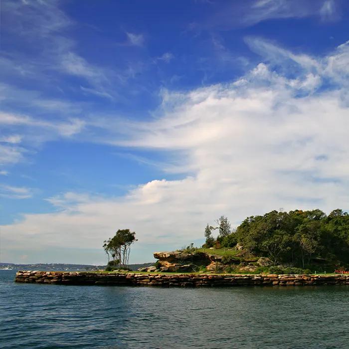 Shark Island