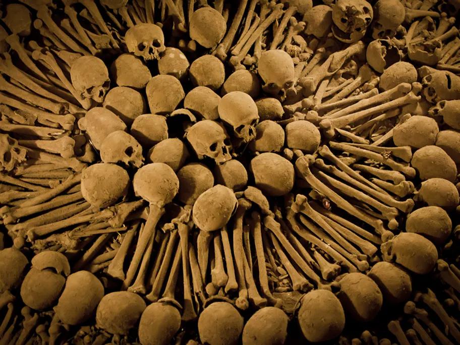 Bones laid out in patterns