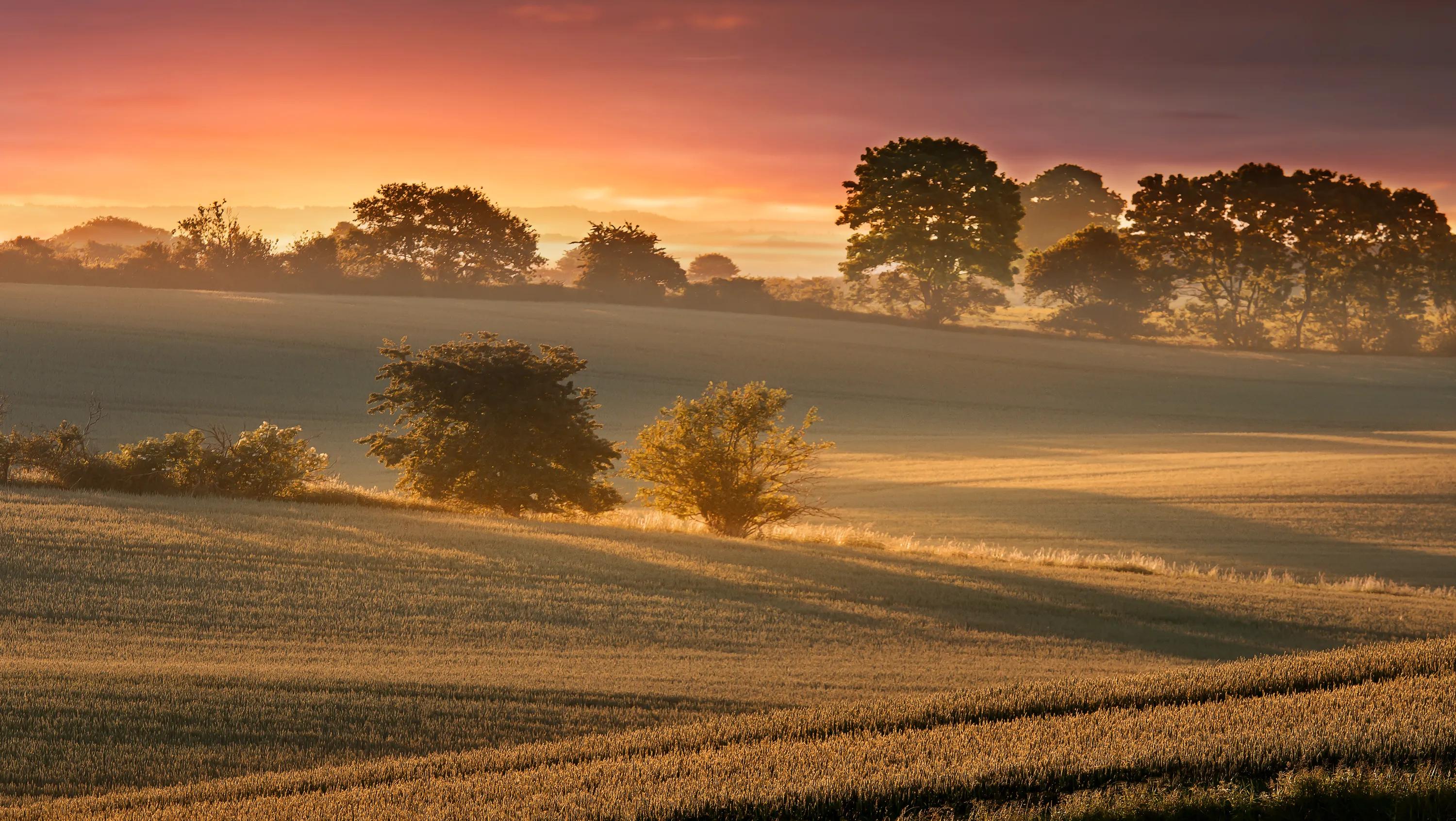 Jutland’s stunning nature