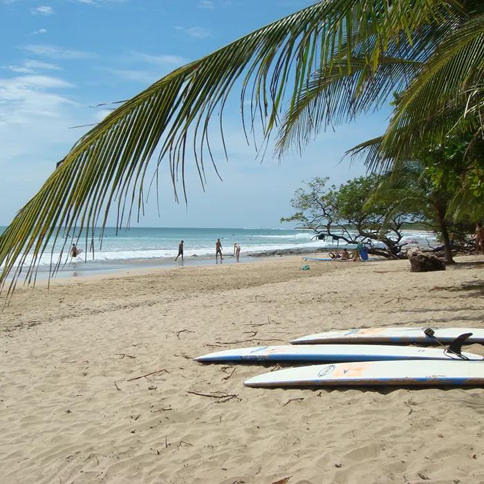 Sandy Surfing Beach
