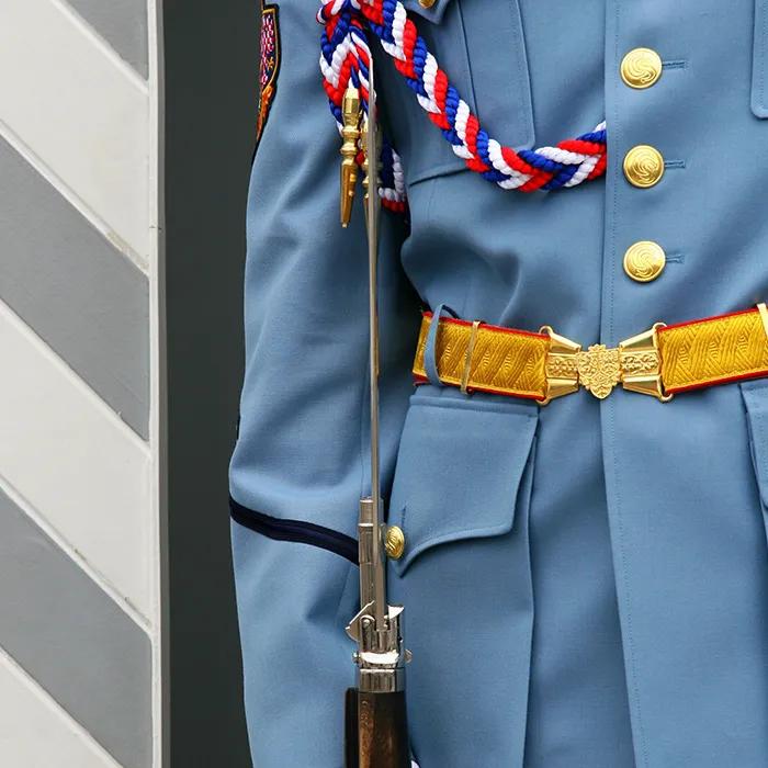 Guarding the palace