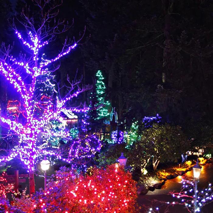 Magical Christmas lights