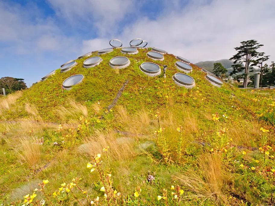The sustainable roof