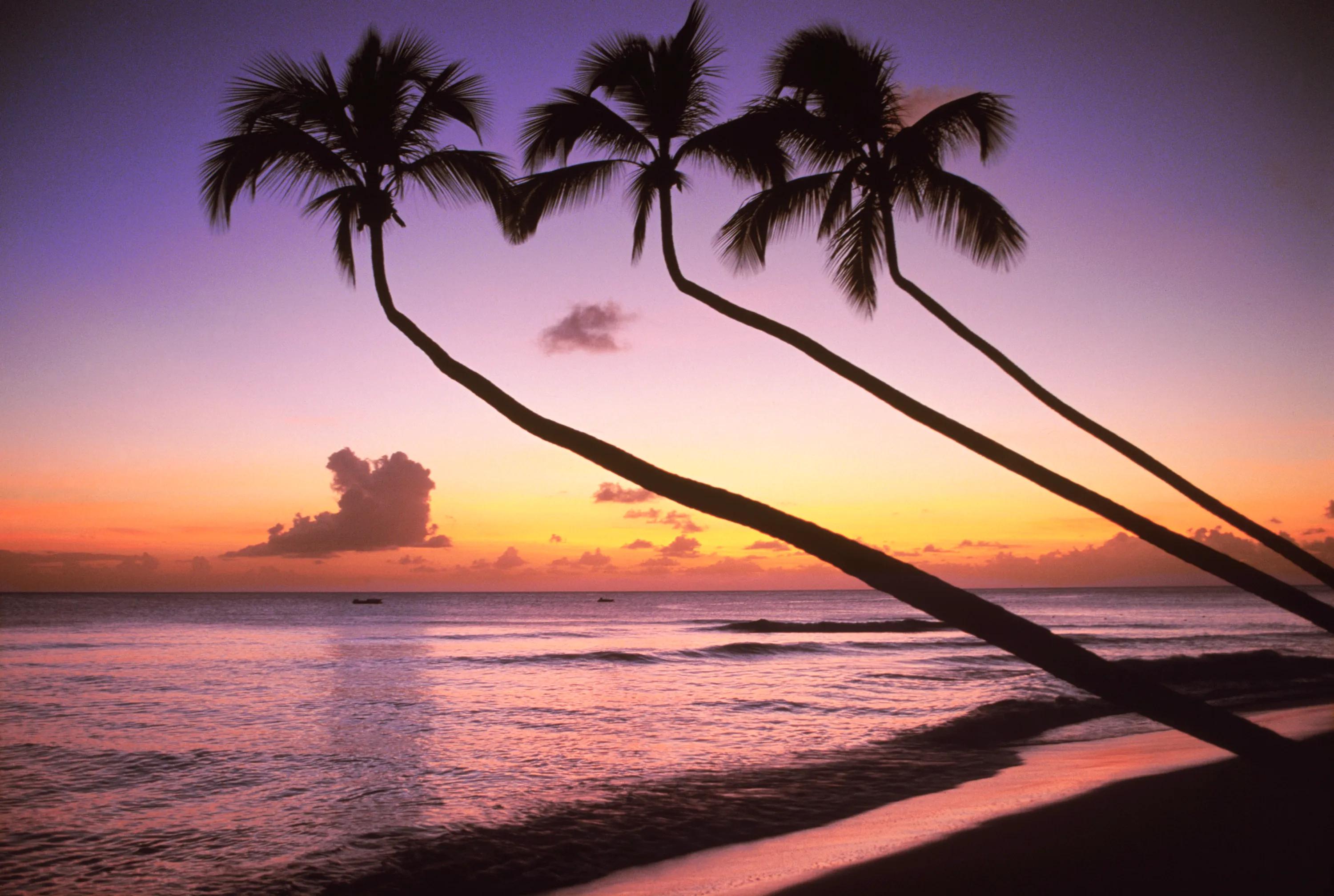 Sunset in Barbados
