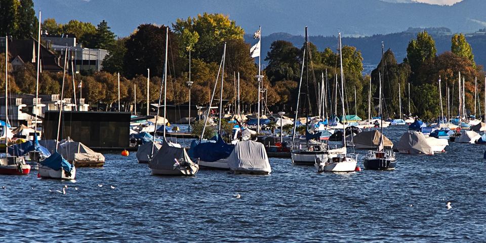 Zürich's lake