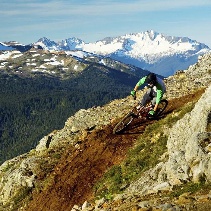 Mountain biking in summer