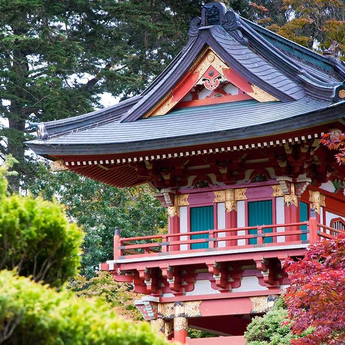 The Japanese tea garden