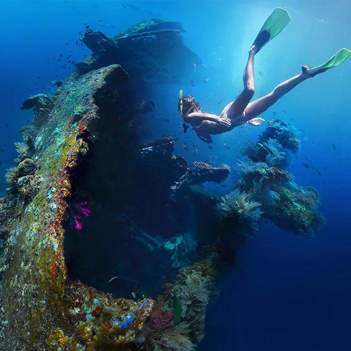 The Liberty wreck is covered with coral