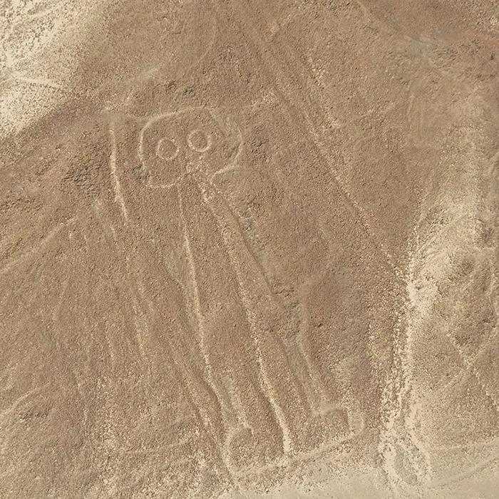 The Astronaut
