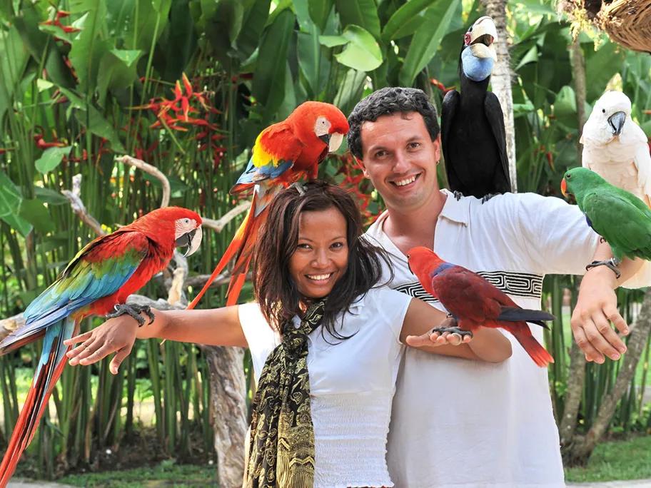 Photo in Bali Bird Park