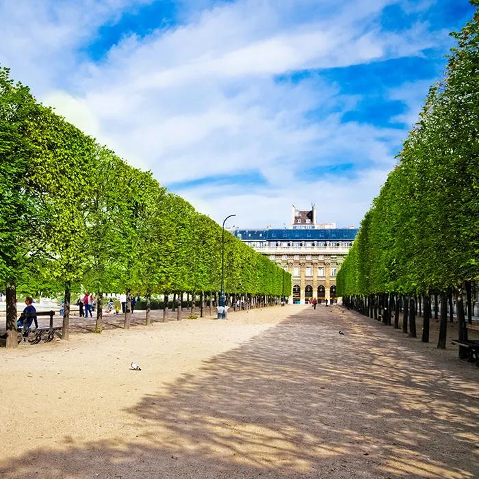 Le Jardin du Palais-Royal