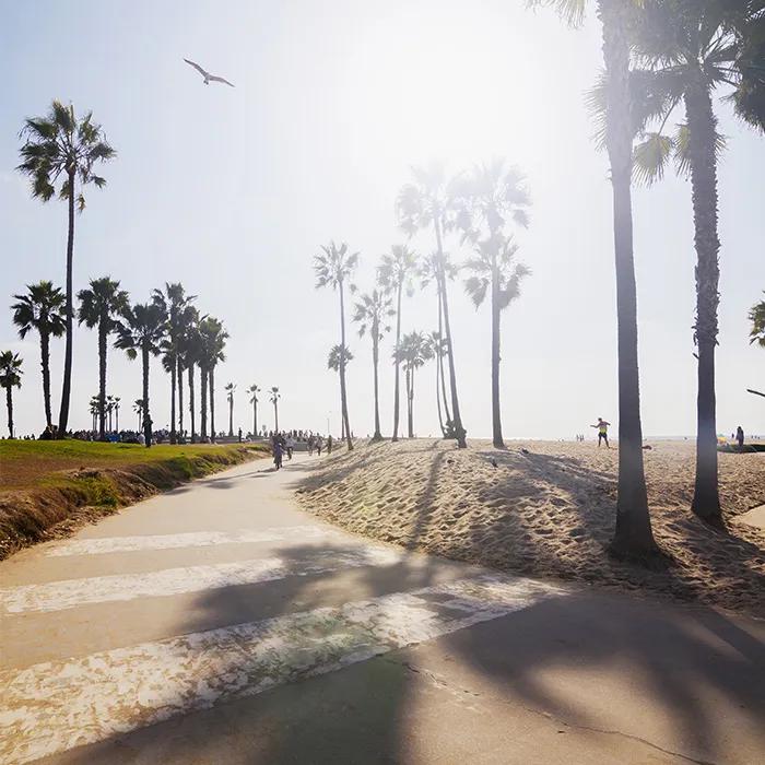 Bike or skate along the beach