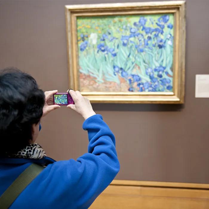 Van Gogh’s ‘Irises’ in the Getty Museum