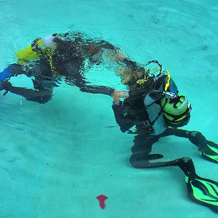 Learn how to dive on Aruba