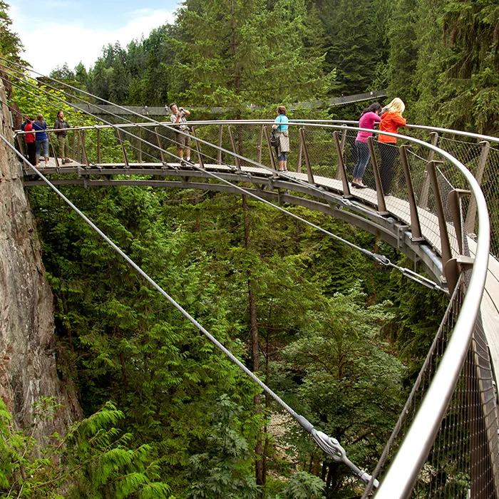 Suspended walkways at the Cliffwalk