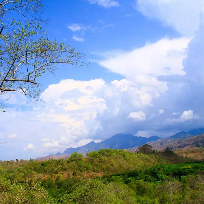 Impressive nature at Bali Barat