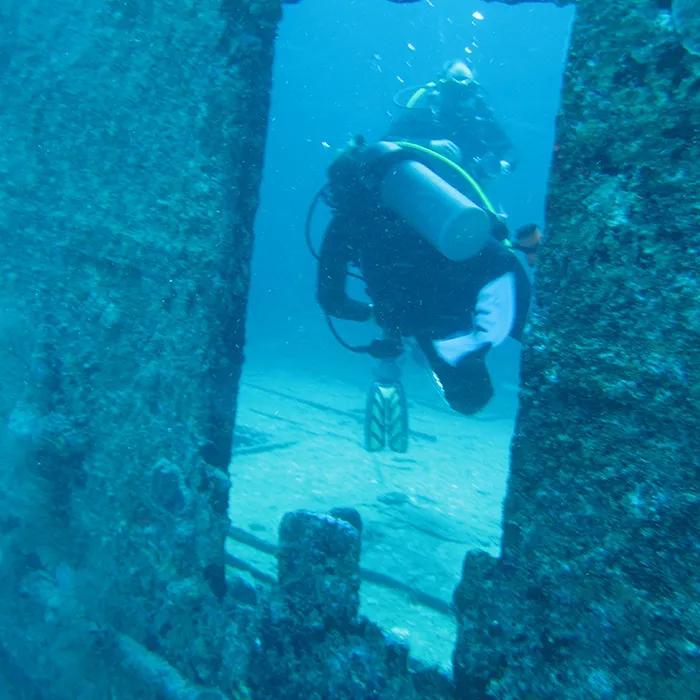 Swim inside through the large windows