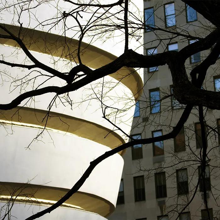 ‘The tea cup’ near Central Park