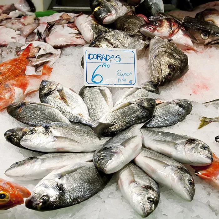 Fresh fish in the Barceloneta market