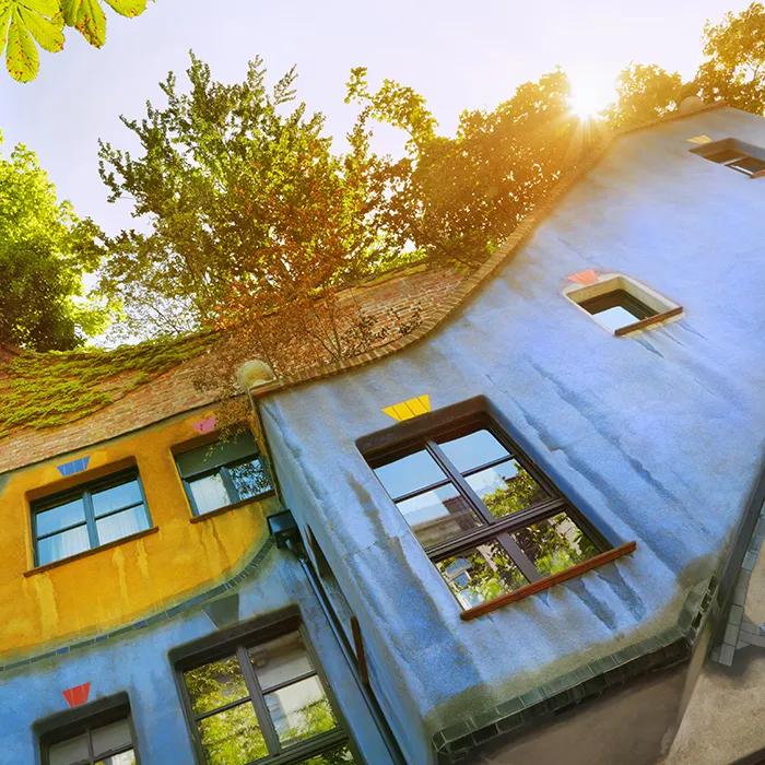 Vegetation on the roof