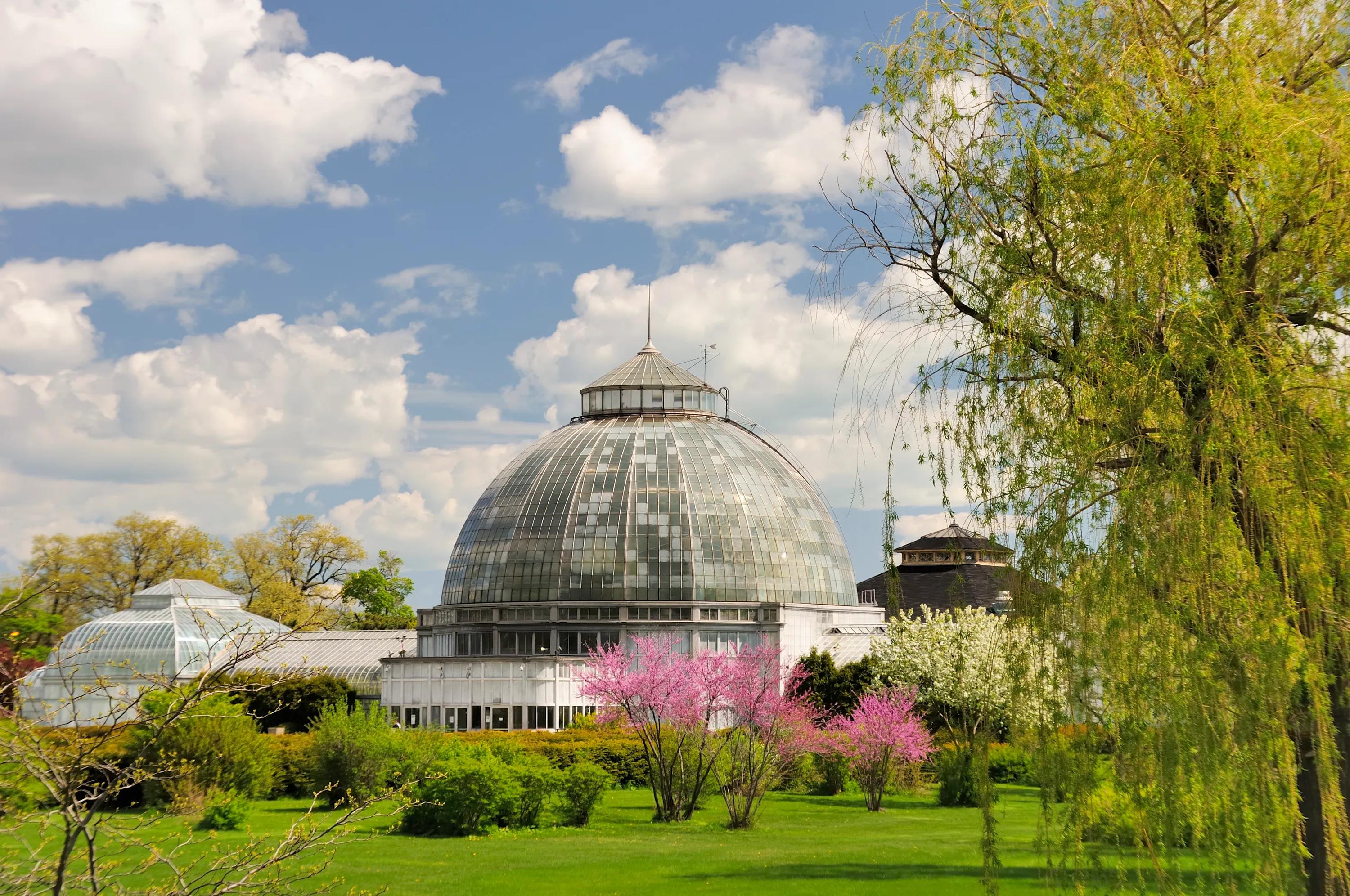 The Belle Isle Conservatory