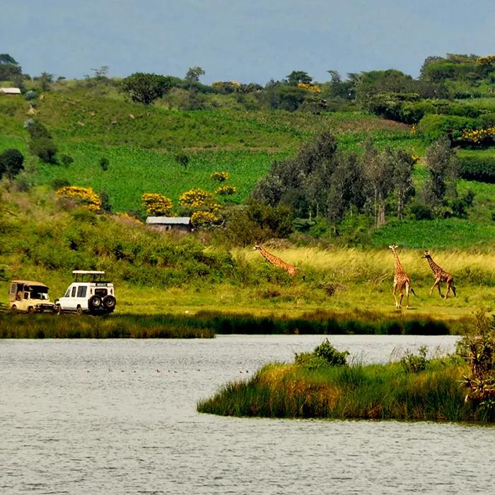 A canoe safari on the Momela Lakes