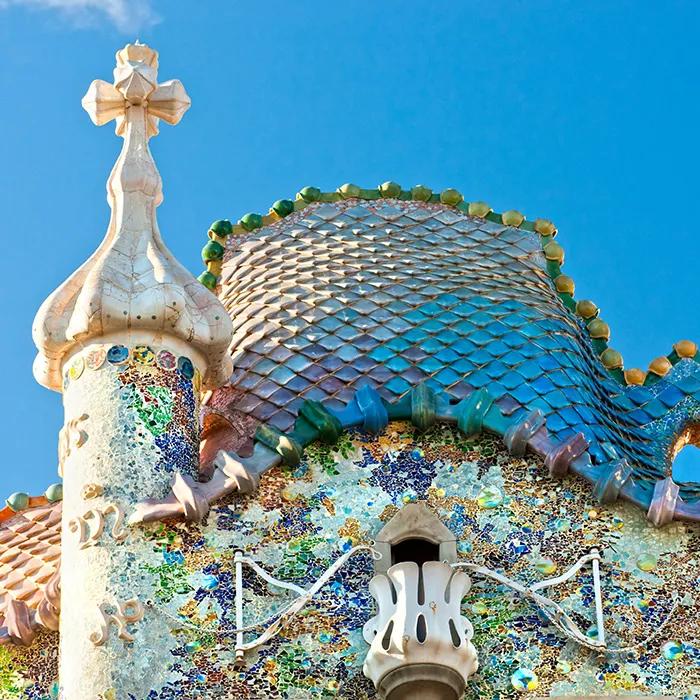 The scaly roof