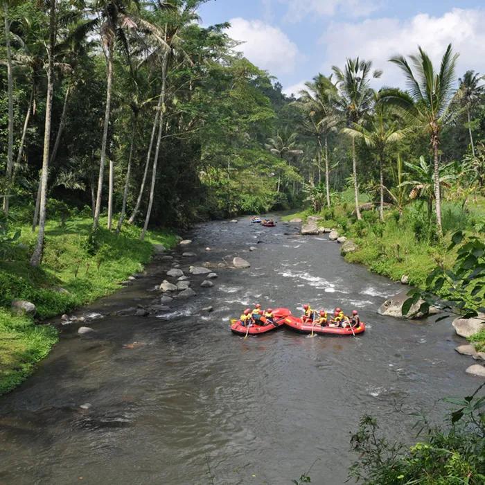 Rafting on the Ayung River