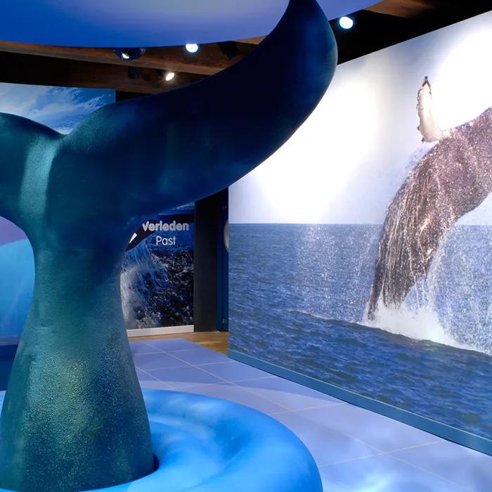 Tale of the whale