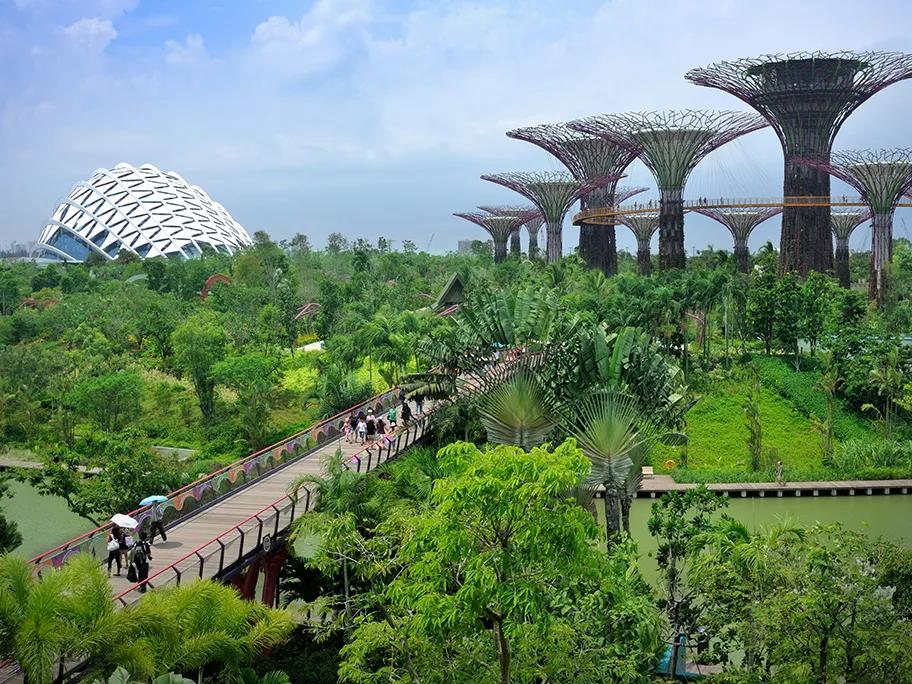 The super trees next to the greenhouse