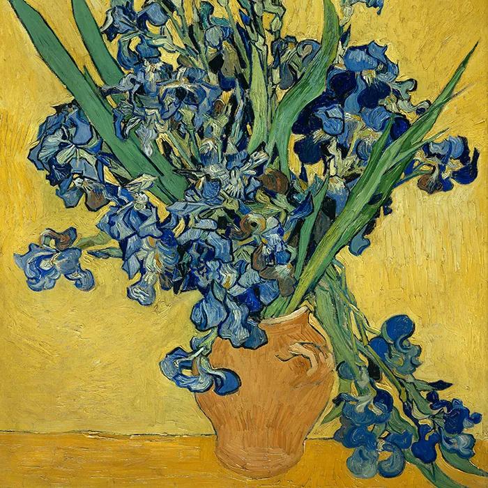 A detail of Irises