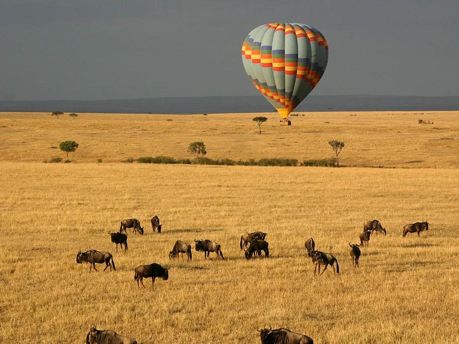 Hot air balloon safari