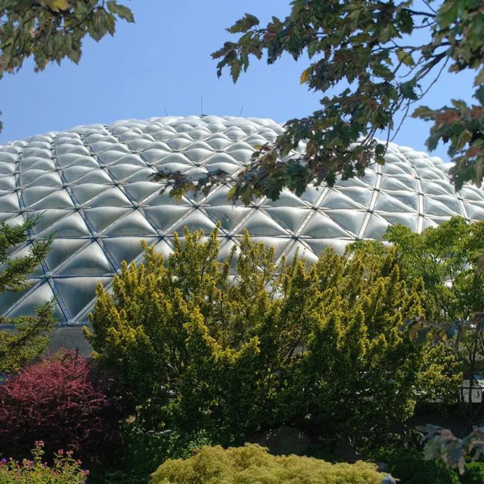 The tropics under a dome