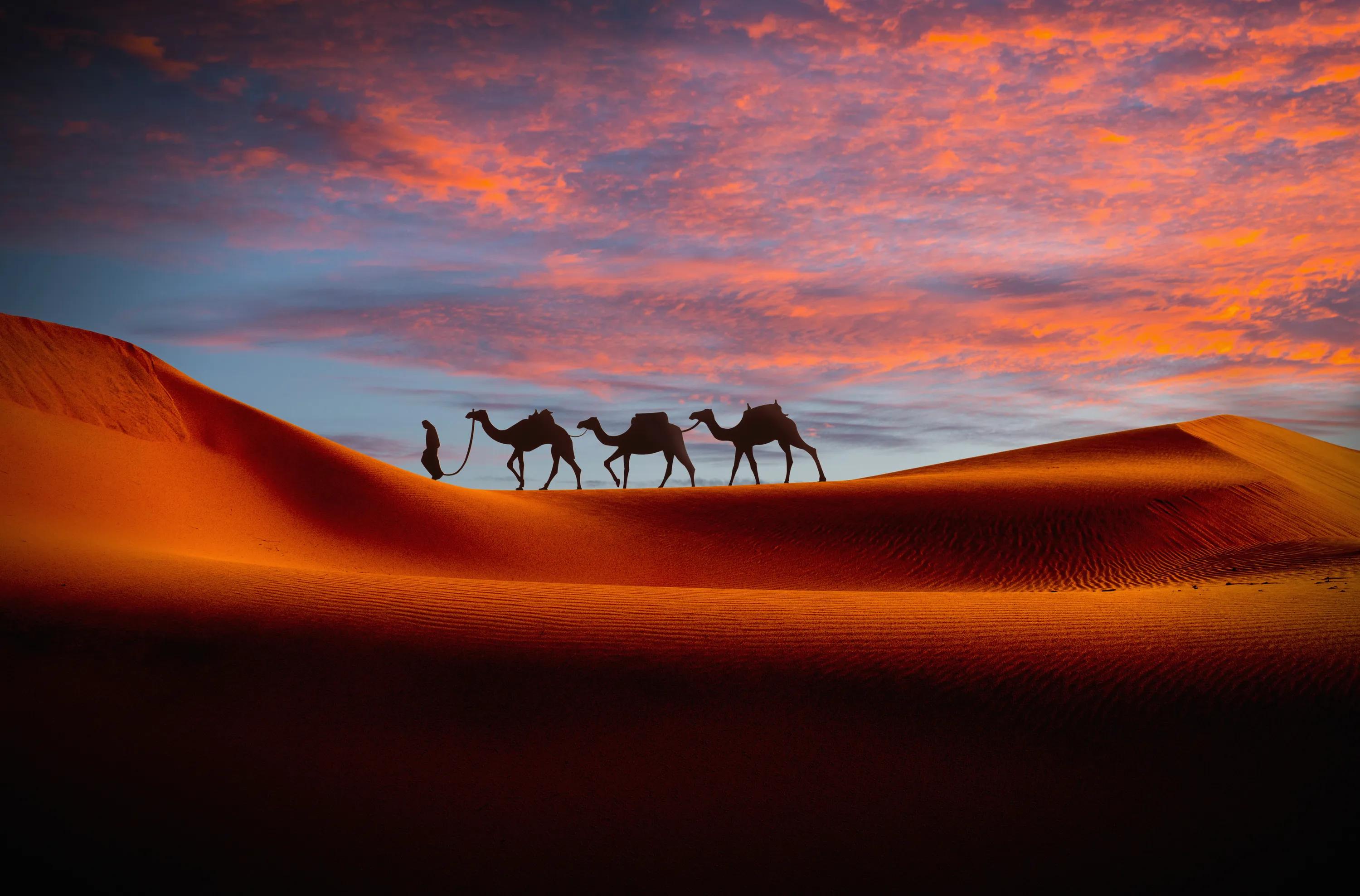 Anochecer en el desierto